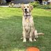Karen McElwee - Facebook