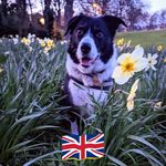 Karen McHale - @mchale6880 - Instagram