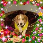 Karen Mchale - @karen.mchale.568 - Instagram