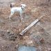 Karen Ann McLendon - Facebook
