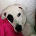 Karen Ann McLendon - Facebook