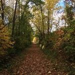 Karen McNabney - @karenmcnabney - Instagram
