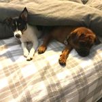 Karen Norfield - @karen.mcnab.77 - Instagram