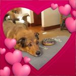 Karen Messer - @karenkaye2463 - Instagram