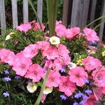 Karen Messer - @messer_karen - Instagram