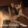 Karen Miley - @karen.miley - TikTok