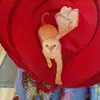 karenmiley564 - @karenmiley564 - TikTok