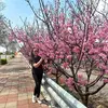 Karen Moncada - @karen.moncada04 - TikTok