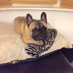 Karen Mottram - Facebook