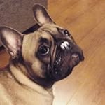 Karen Mottram - @mottram_karen - Instagram