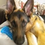 Karen Mowery - @karen.mowery.52 - Instagram
