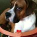 Karen Munn - Facebook