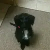 Karen Munnerley - @karen.munnerley - TikTok