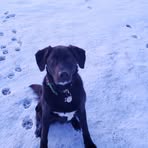 Karen Newcombe - Facebook
