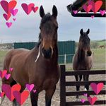 Karen Newcombe - @karen_newcombe - Instagram