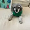 Karen Neyra - @karen.neyra52 - TikTok