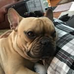 Karen - @karen_parks_nickell - Instagram