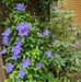 Karen Nickell - Facebook