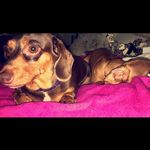 Karen Nickell - @damama_ouma - Instagram