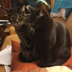 Karen Nickell - Facebook