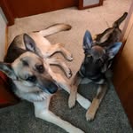 Karen Nickell Effertz - @nickelleffertz - Instagram