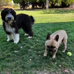 Stan N Karen Nickell - Facebook