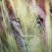 Karen Nishimura - Facebook
