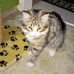 Karen Northover - Facebook