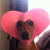karen_nygaard - @karen_nygaard - TikTok
