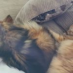 Karen Ohlmann - @peachesnfozzy - Instagram