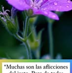 Karen Orta - Facebook