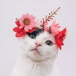 Karen Pablo - @karen.pablo.581187 - Instagram
