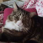 Karen Pascal - @kirannap - Instagram