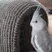 Karen Pascoe - Facebook