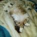 Karen Pascoe - Facebook