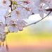 Karen Pass - Facebook