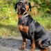 Karen Passmore - Facebook