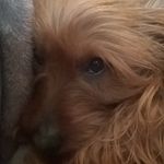 Karen Perkowski - @kayran_2 - Instagram