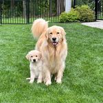 Karen Medugno Pfeil - @kmedugnopfeil - Instagram