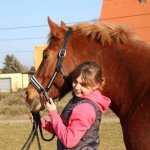 Karen Anna Pfeiler - @miniidressage - Instagram