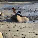Karen Pigg Buford - @karenbuford - Instagram