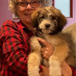 Karen Pohl - @hinanny - Instagram