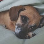 Karen Pohl - @_karen_pohl_ - Instagram