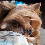 Karen Sue Prather Peterson - @pratherkaren - Instagram
