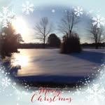 Karen Williams Prather - @1qhorsefan - Instagram