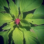 Karen Prevost - @karenp0512 - Instagram