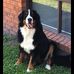 Karen Prust - Facebook