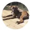 sleepha - @karenpyles530 - TikTok