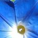 Karen Rafferty - Facebook