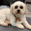 Karen Rafferty - @karenrafferty1 - TikTok